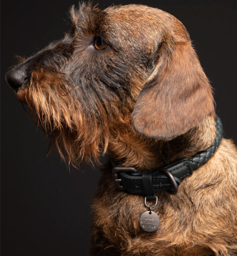 Express Your Style: Explore the Luxury Leash Collection by 2.8 Design for Dogs