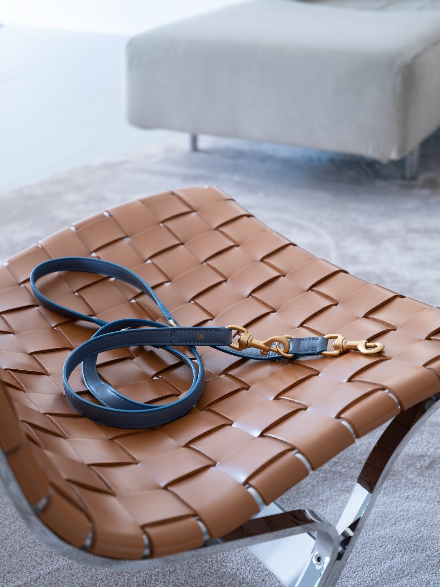 The Best Luxury Dog Leashes: A Guide to the 2.8 Collection