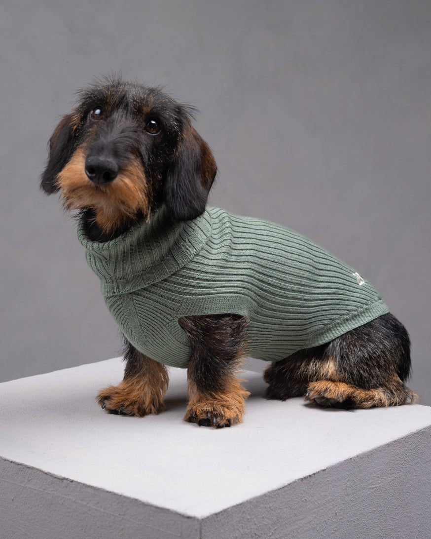 Paul – Merino Wool Dog Sweater