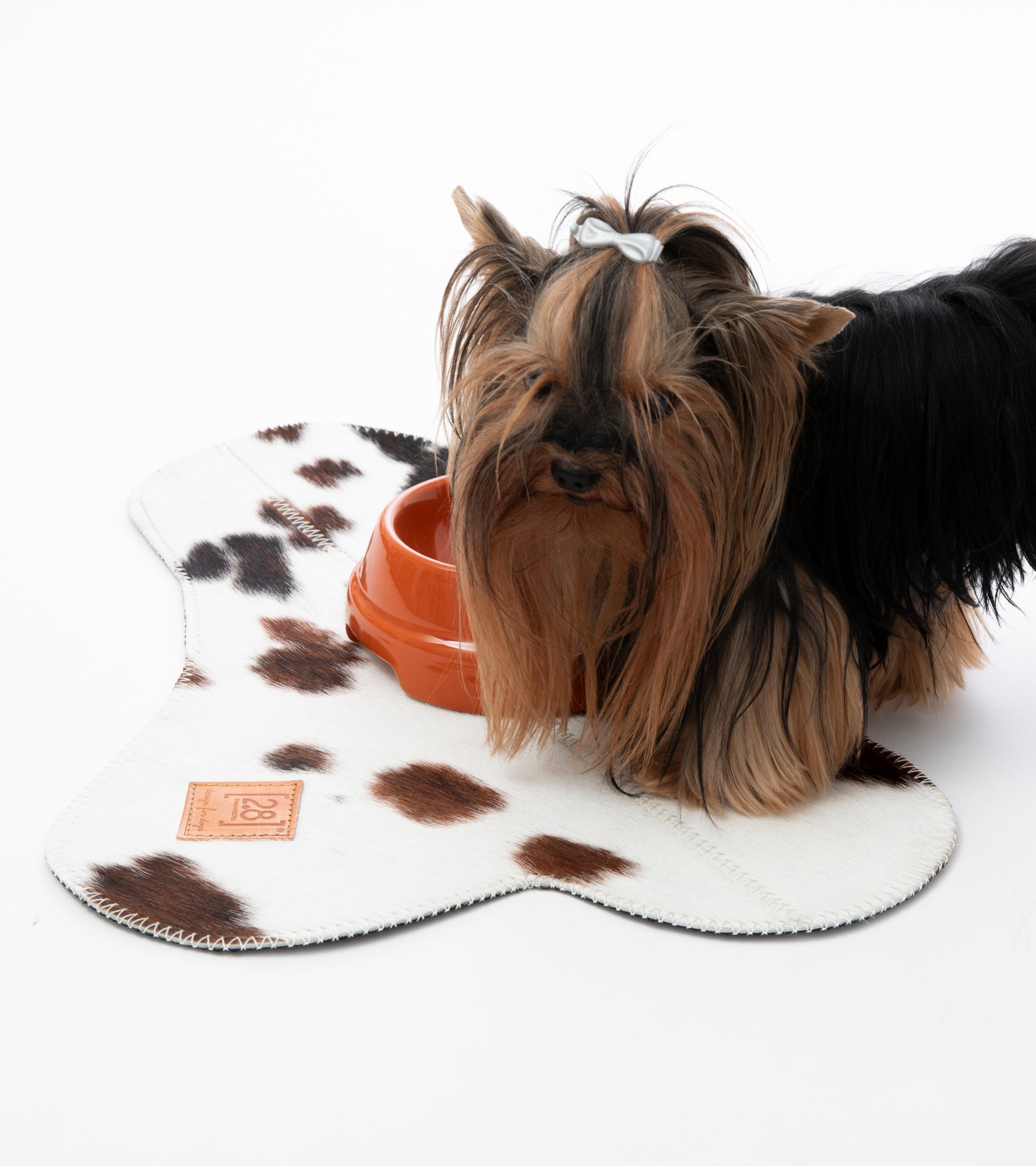 Bruce-Placemat-for-Dog-Bowls-2.jpg