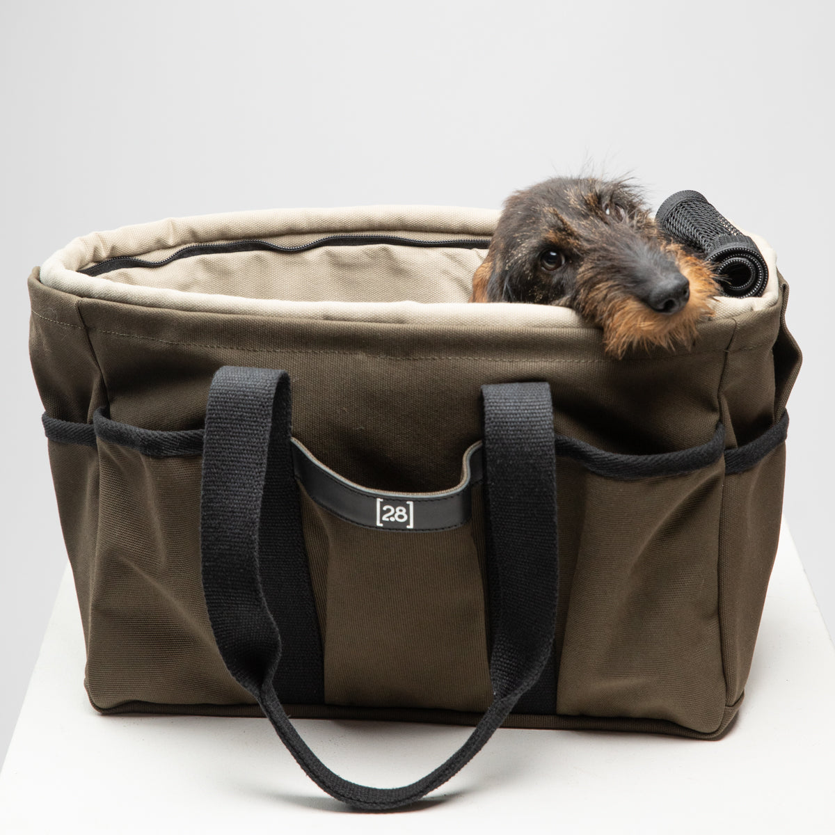 Foldable Dog Carrier Bag — Gianni | Nomad Style | Removable Lining