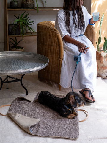 Steve - Hundereisebett Jute