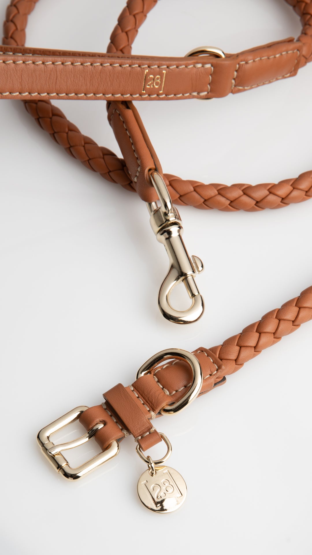 Ferdinando-Dog-Leash-Collar-Braided-Leather-22.jpg