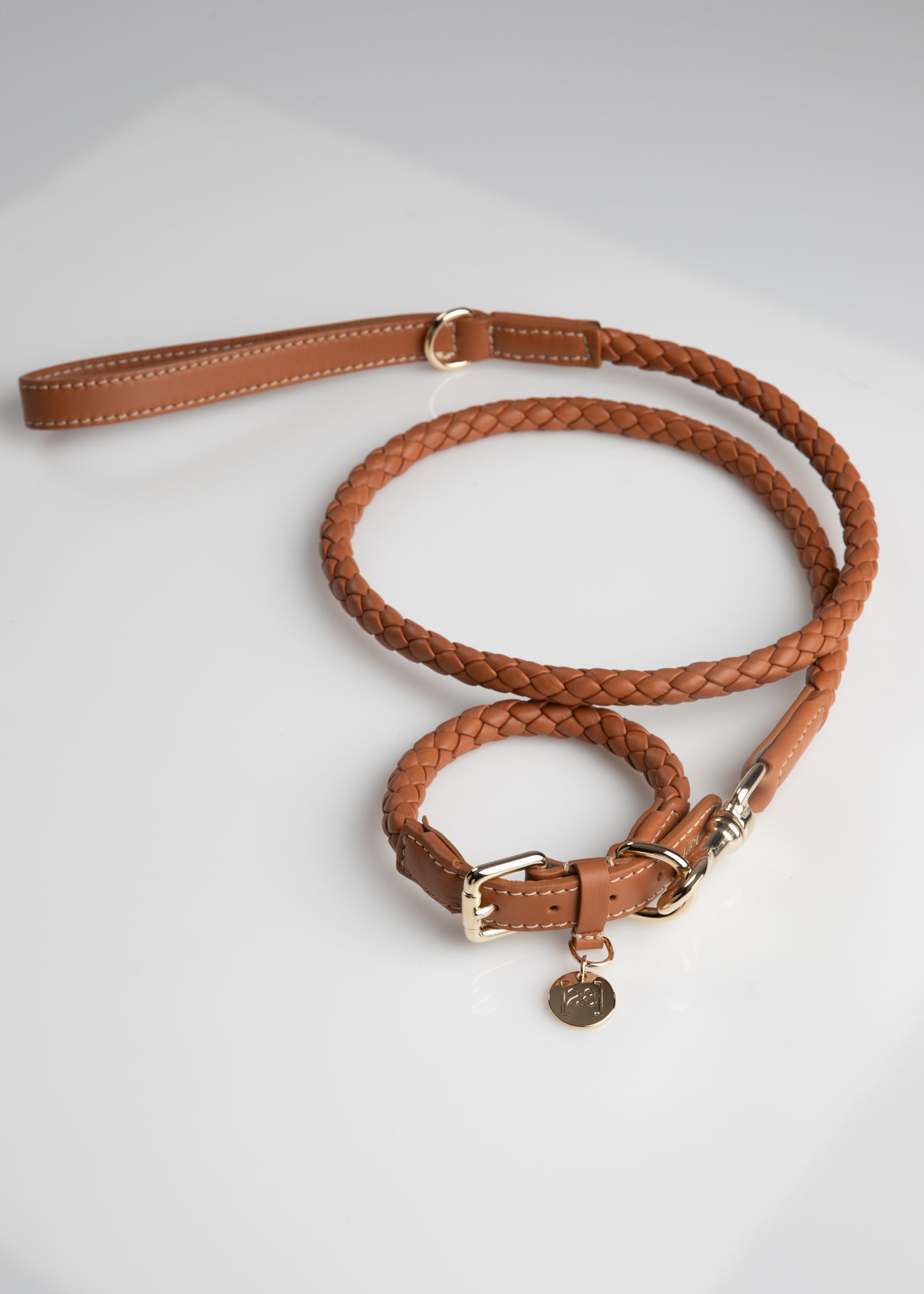 Ferdinando-Dog-Leash-Collar-Braided-Leather-25.jpg