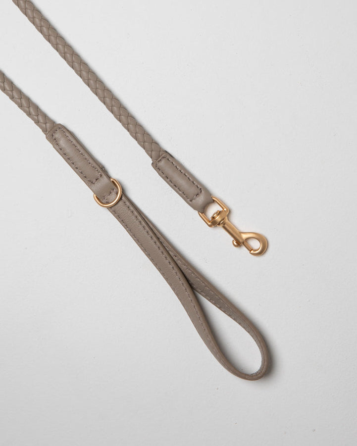 Ferdinando-Dog-Leash-Collar-Braided-Leather-54.jpg