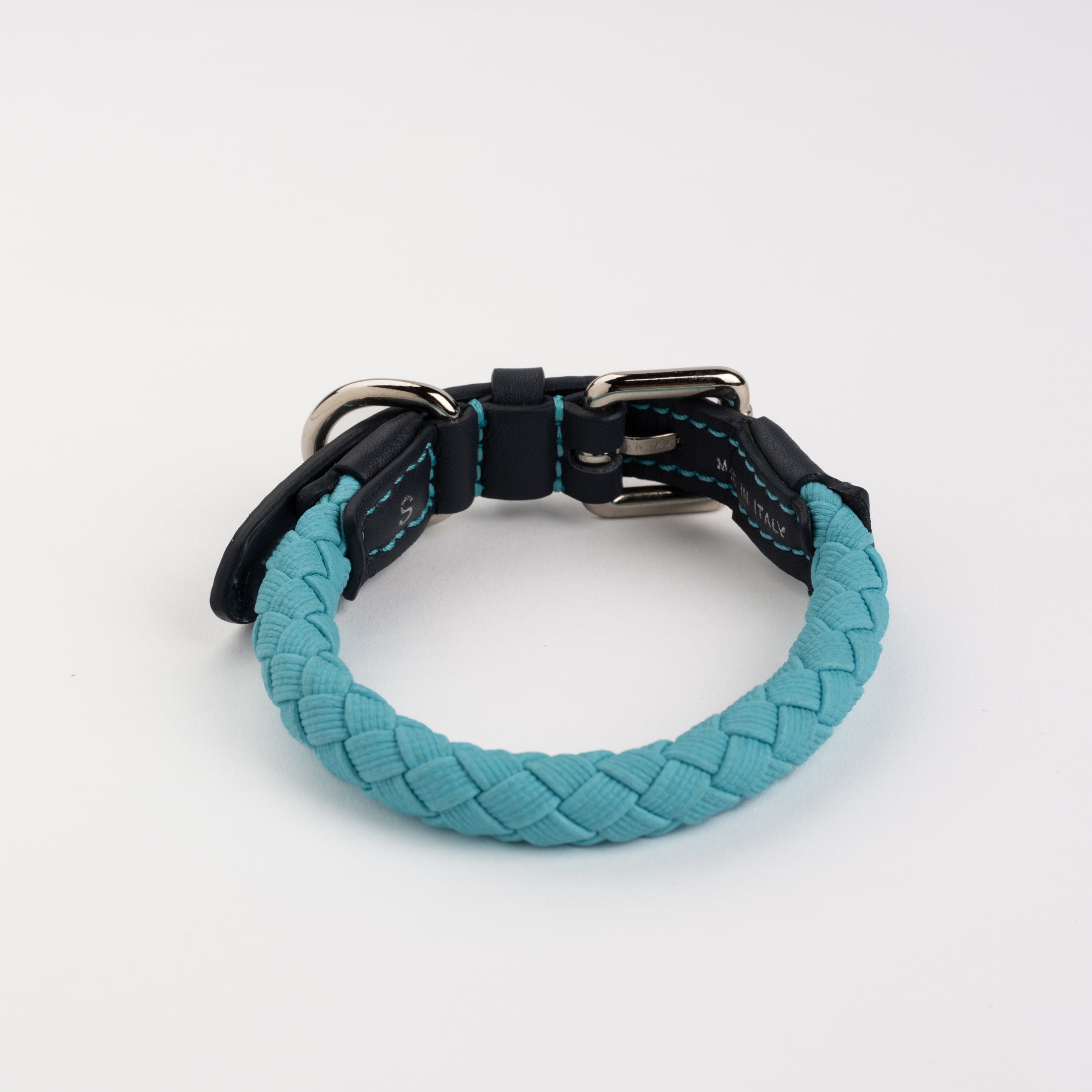 Ferdinando-Collar-Leash-Dogs-Riva-Collab-12.jpg