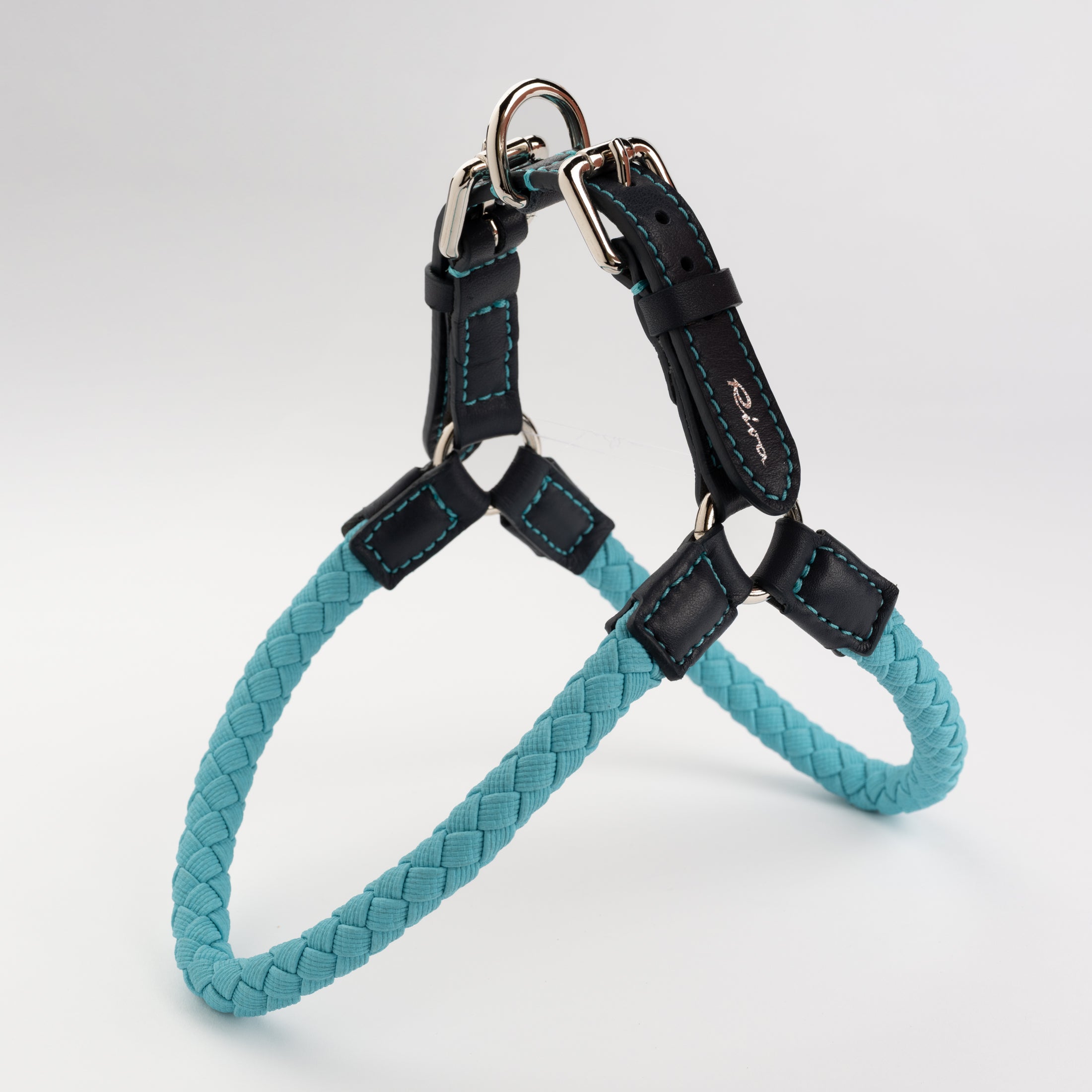 Ferdinando-Collar-Leash-Dogs-Riva-Collab-14.jpg