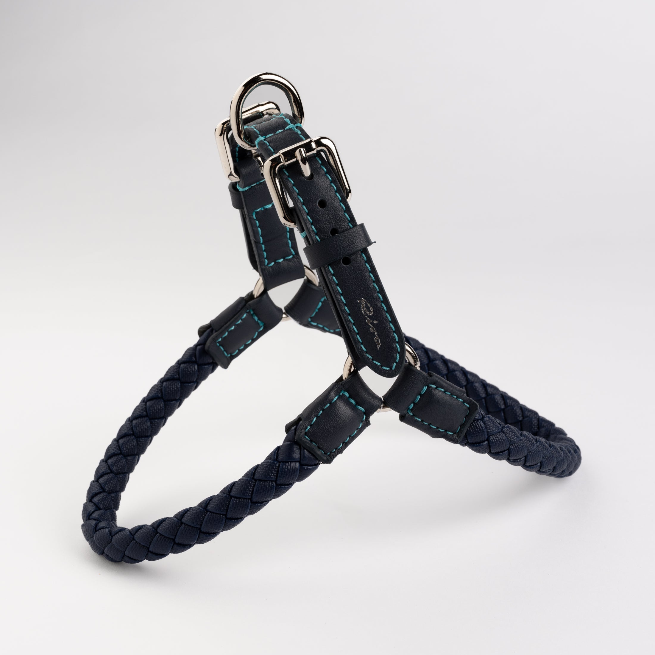Ferdinando-Collar-Leash-Dogs-Riva-Collab-15.jpg