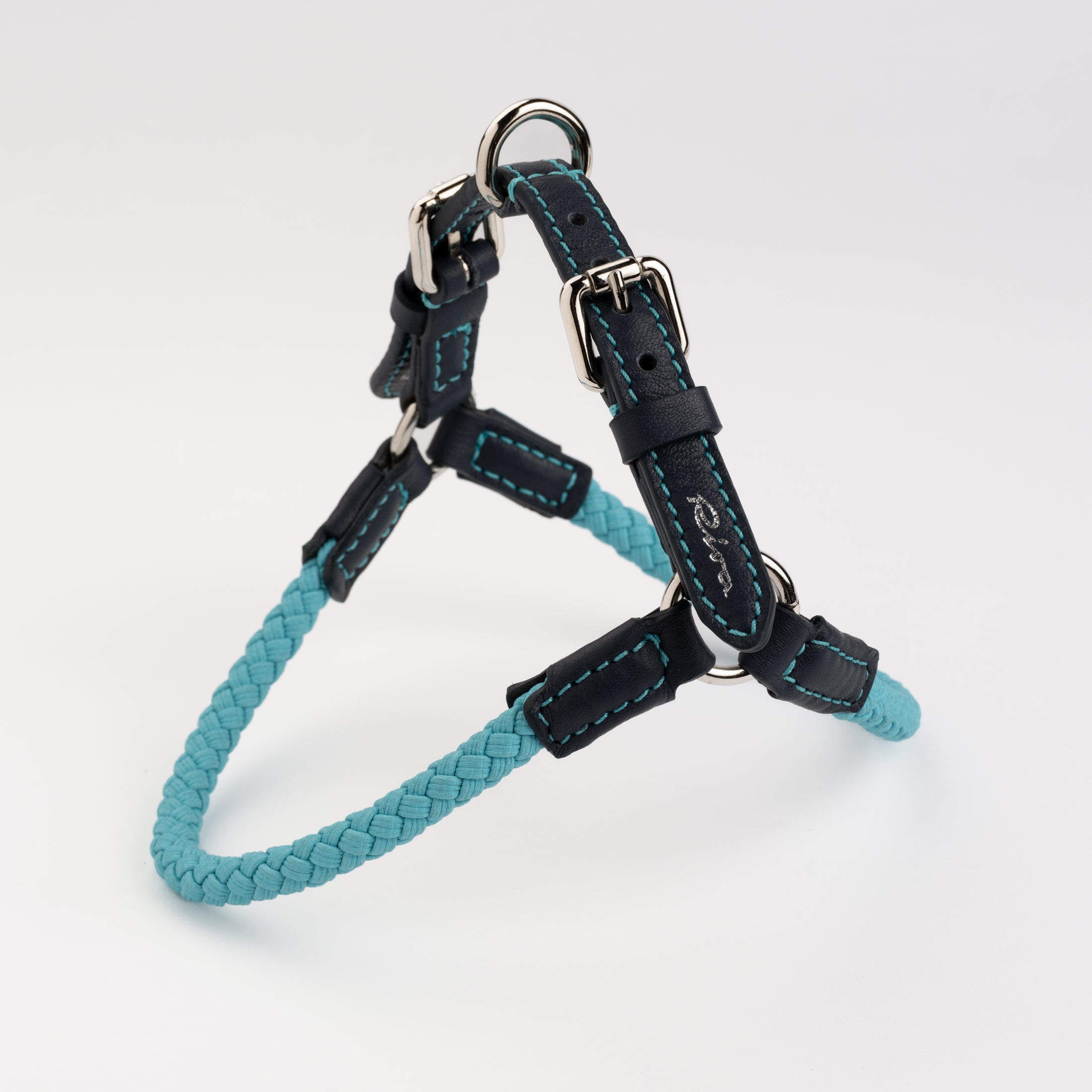 Ferdinando-Collar-Leash-Dogs-Riva-Collab-16.jpg