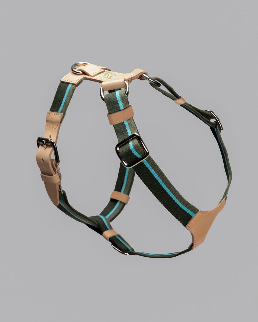 Y-Shape Ribbon & Leather Dog Harness — Franco | Adjustable
