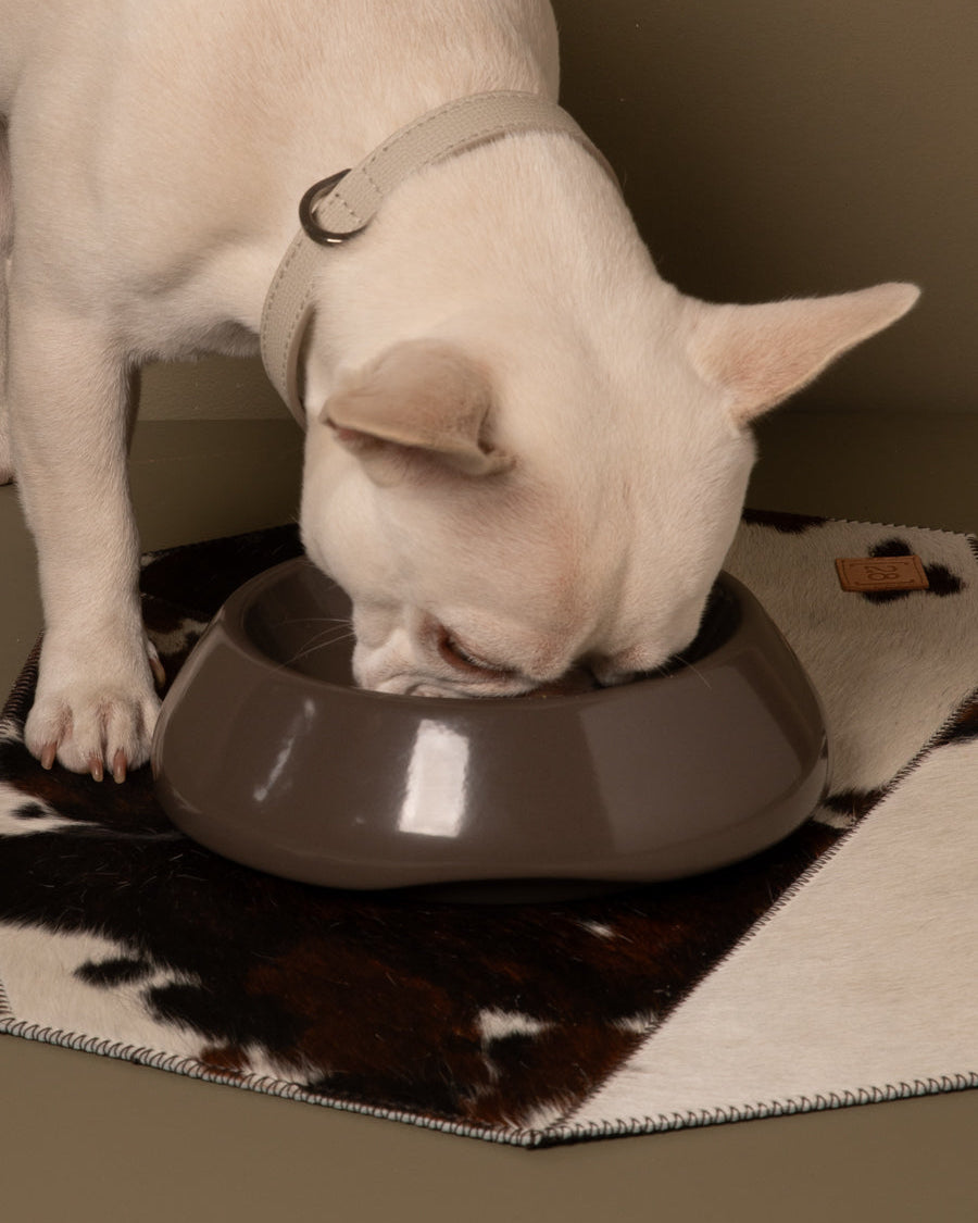 Italian Ceramic Dog Bowl — Sarah | Luxury Dog Bowl | Dishwasher