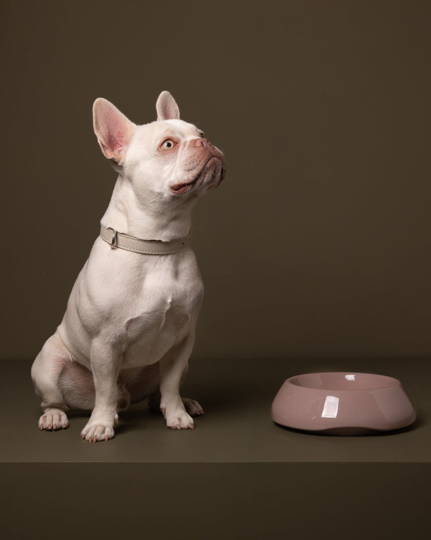 Dusty Pink Large Ceramic Dog Bowl — Sarah by 2.8 Design for Dogs | Italian Ceramic | Luxury Dog Bowl | Dishwasher Safe | Made in Italy