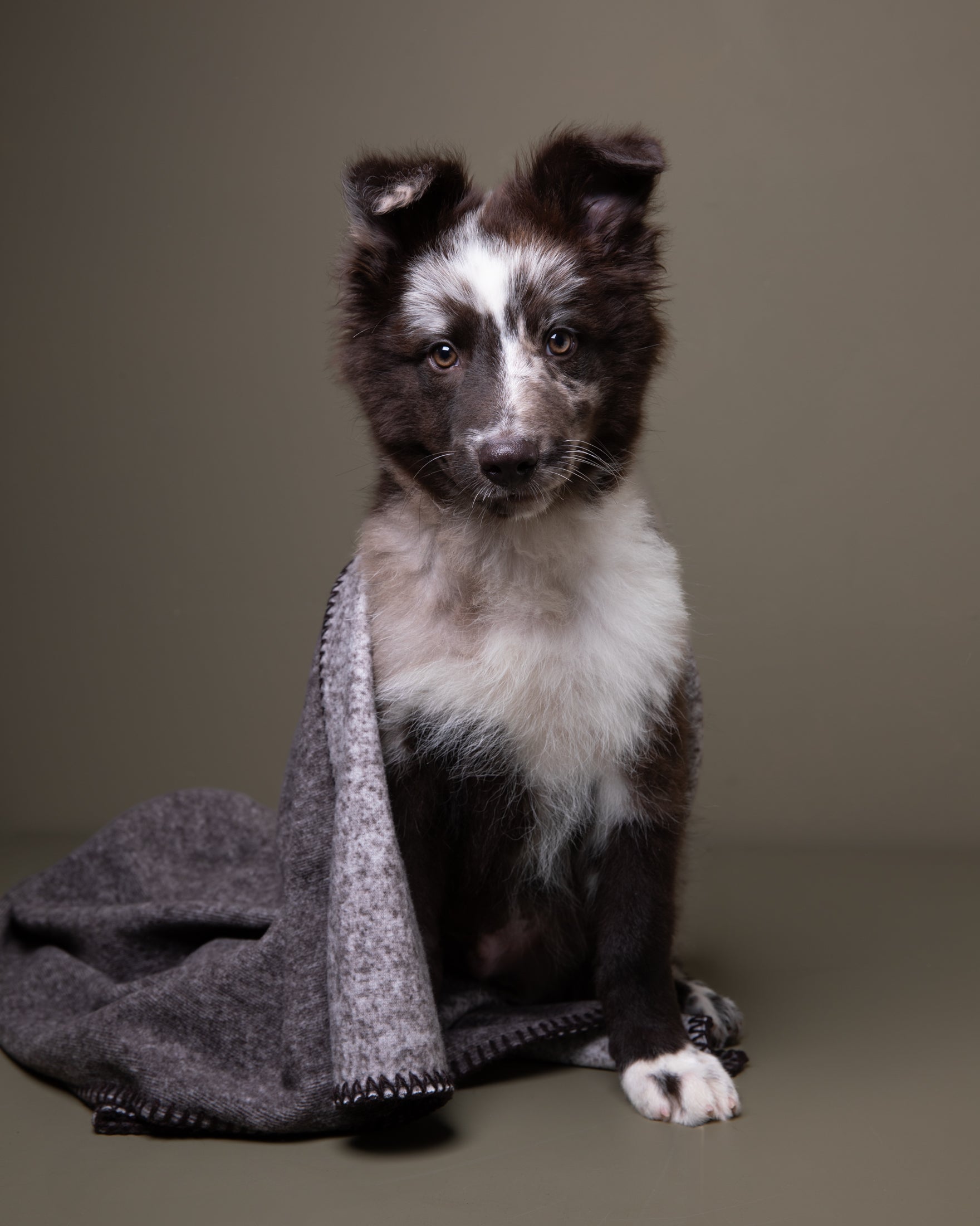 Hundedecke aus Bambus — Yuki | Luxus-Hundedecke | Warm & waschbar |  Handmade in Italy