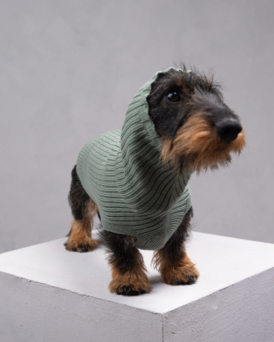 Paul – Merino Wool Dog Sweater
