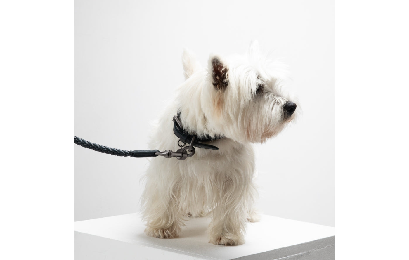 Ferdinando - Dark Hardware Braided Leather Collars