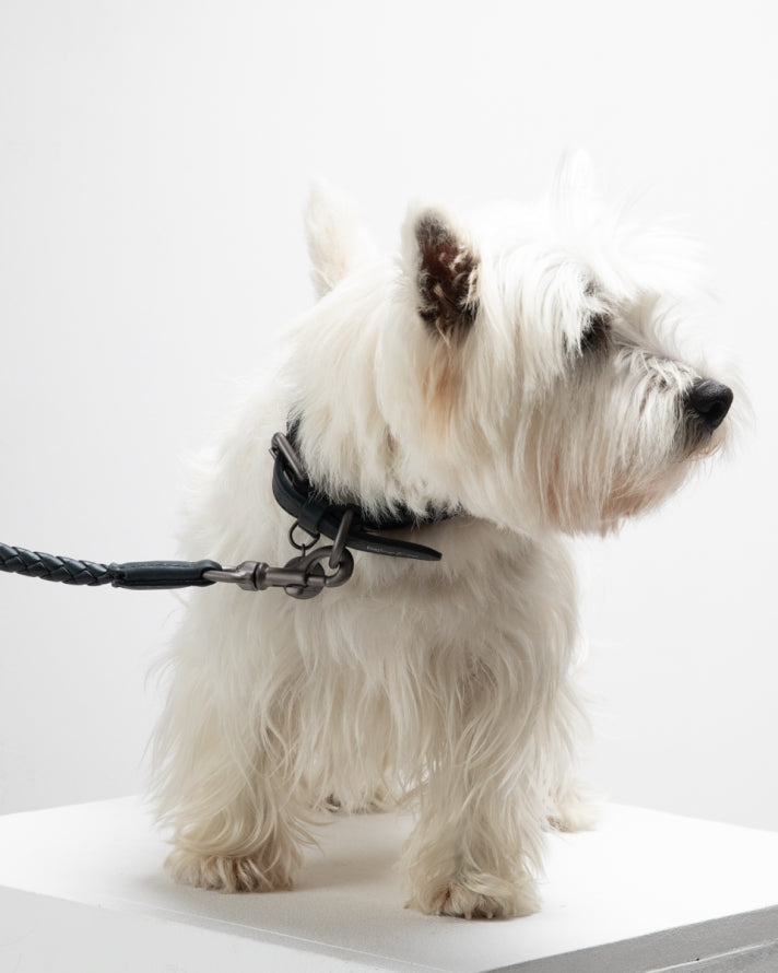 Ferdinando - Dark Hardware Braided Leather Collars