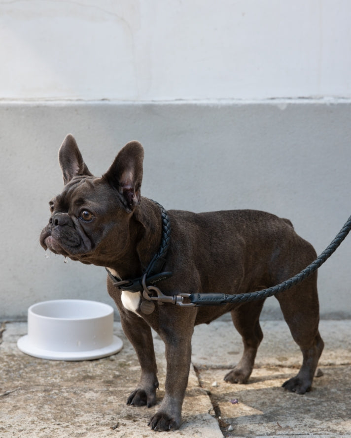 Ferdinando - Dark Hardware Braided Leather Collars