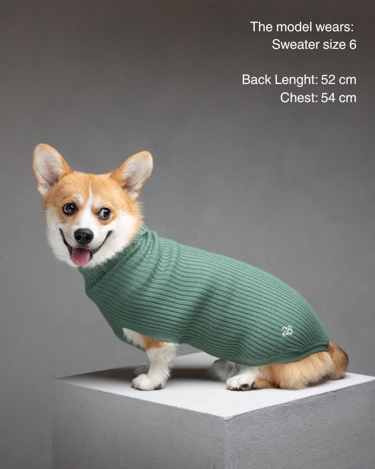 Paul – Maglione per cani in lana merino