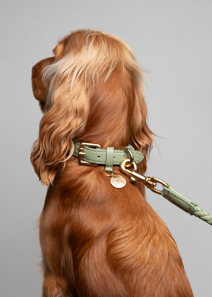 Ferdinando - Braided Leather Collar