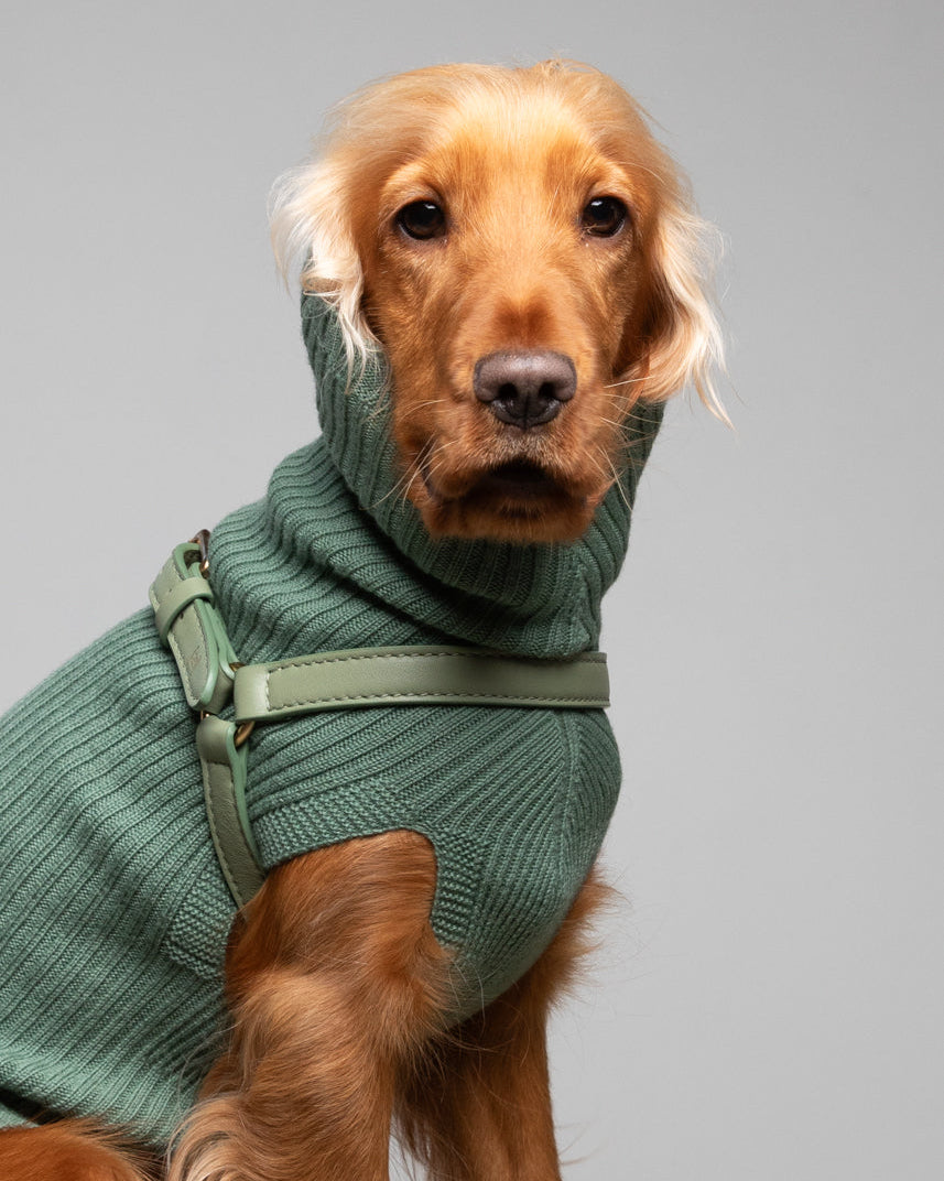 Paul – Merino Wool Dog Sweater