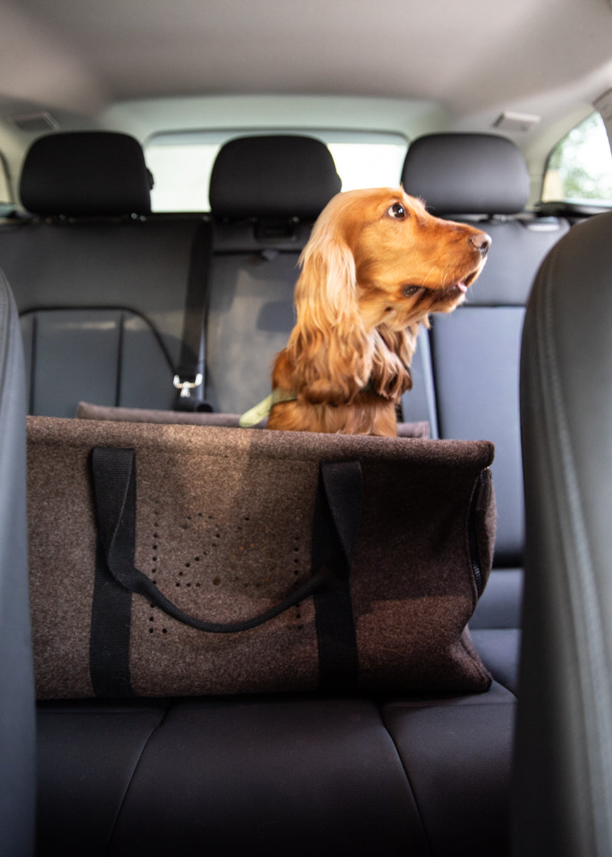 Gianni - Nomad Carrier