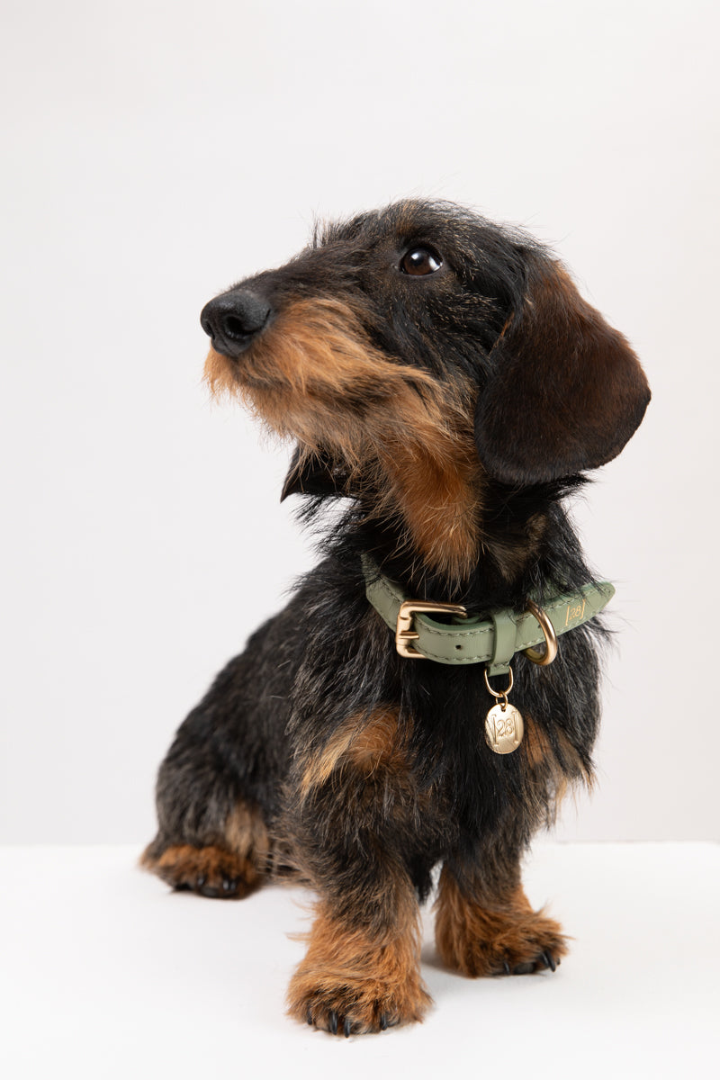 Ferdinando - Braided Leather Collar