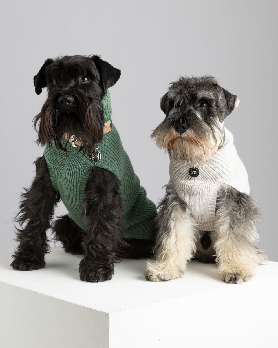 Paul – Merino Wool Dog Sweater