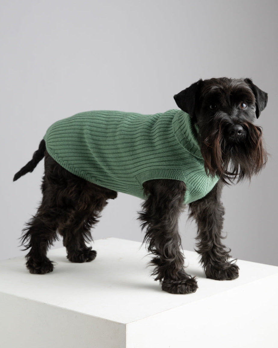 Paul – Merino Wool Dog Sweater