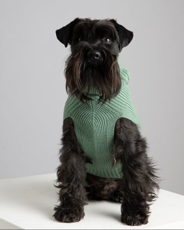 Paul – Merino Wool Dog Sweater