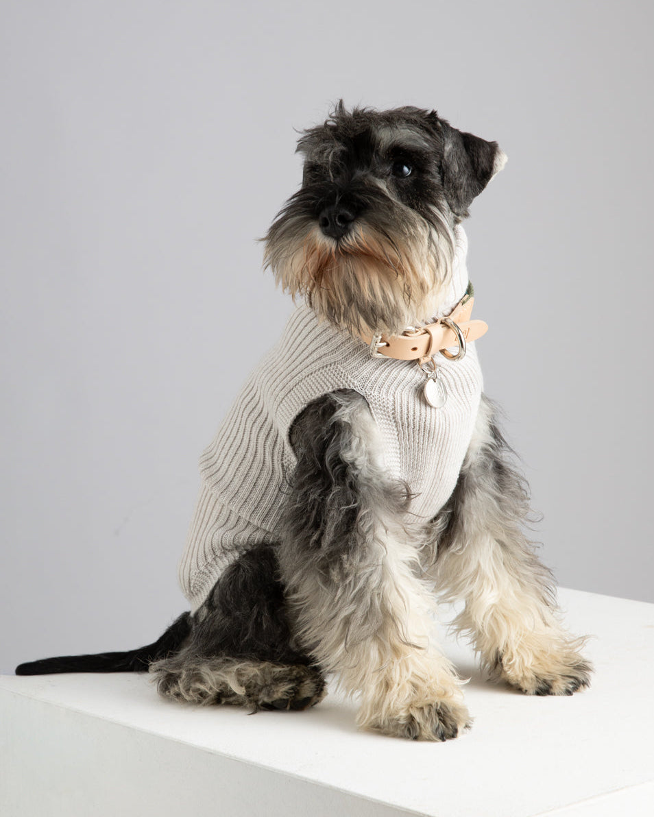 Paul – Merino Wool Dog Sweater