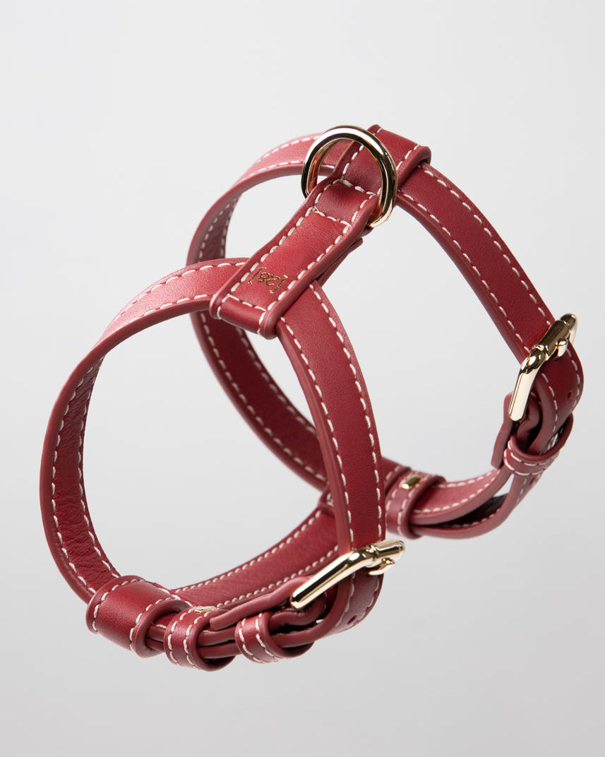 H-Shape Leather Dog Harness — Gabriele | No-Pull | Adjustable