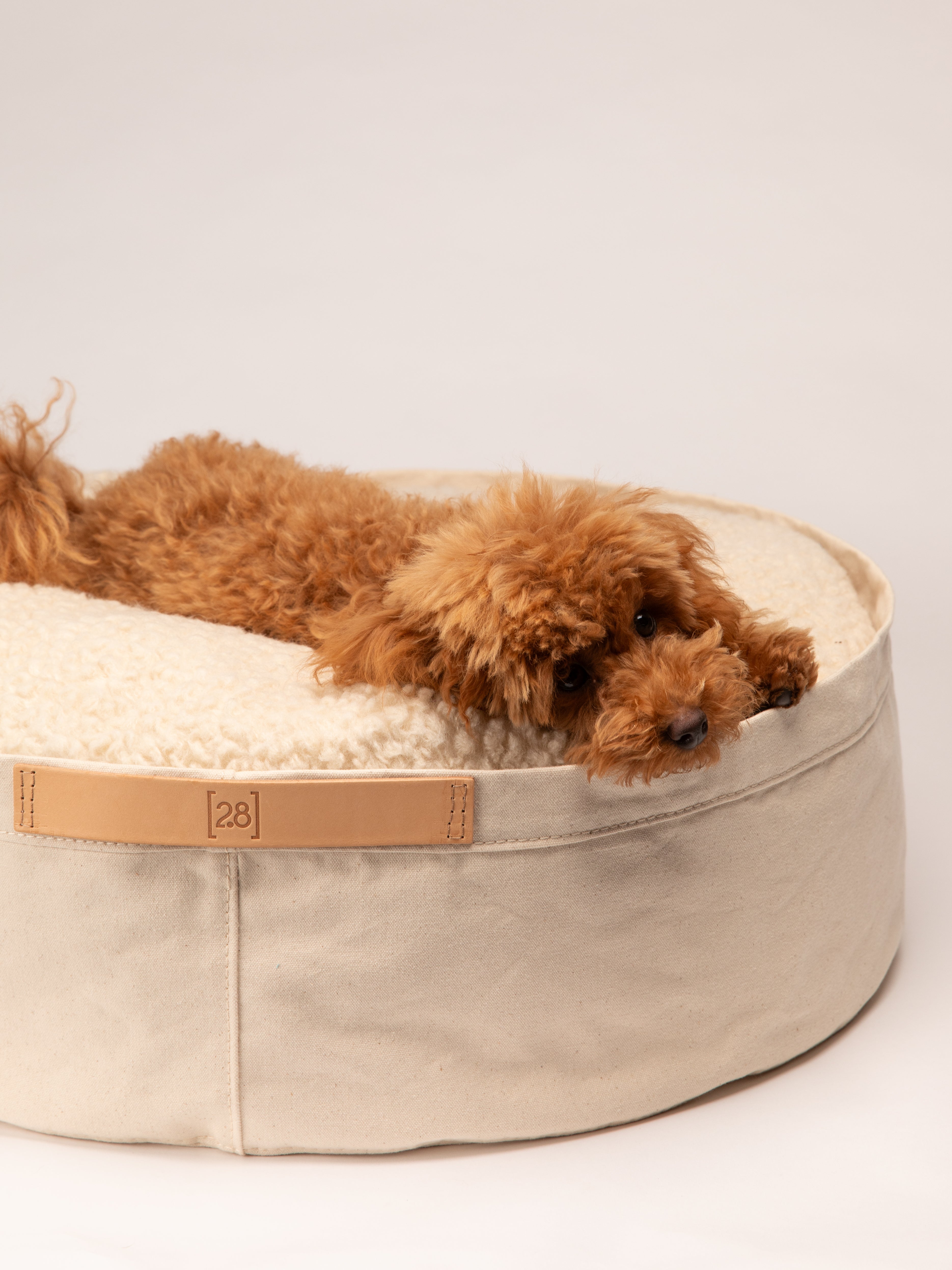 Irving – Cuscino per Cani in Cotone Heavy Duty