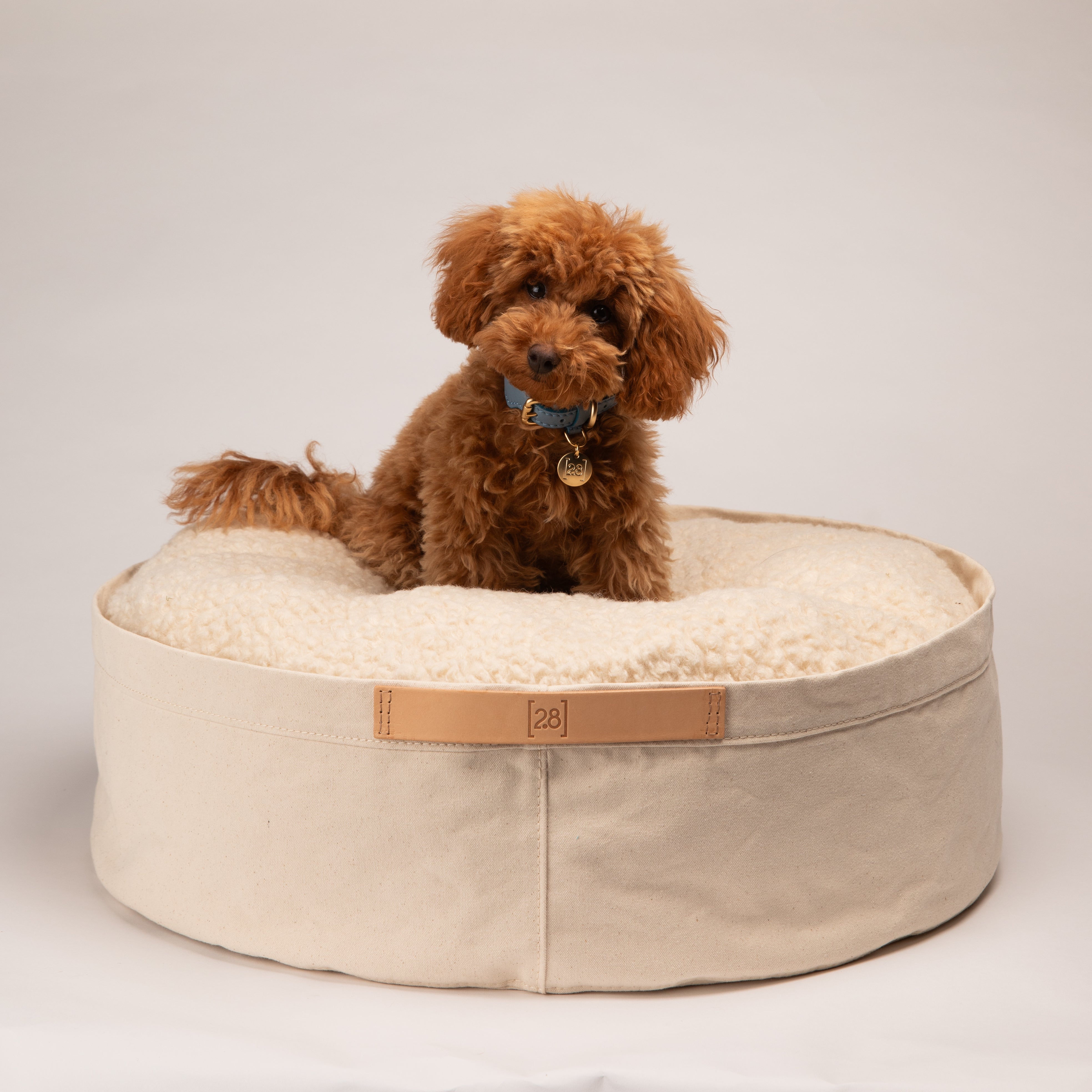 Irving – Cuscino per Cani in Cotone Heavy Duty