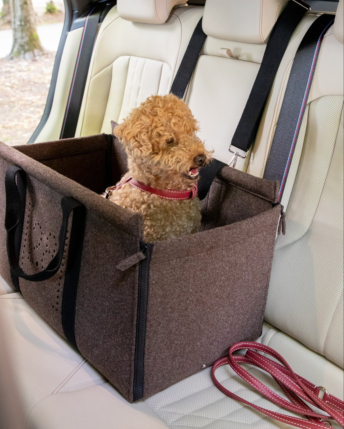 Gianni - Nomad Carrier