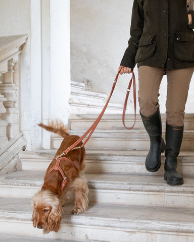 Gabriele – Verstellbare Lederleine