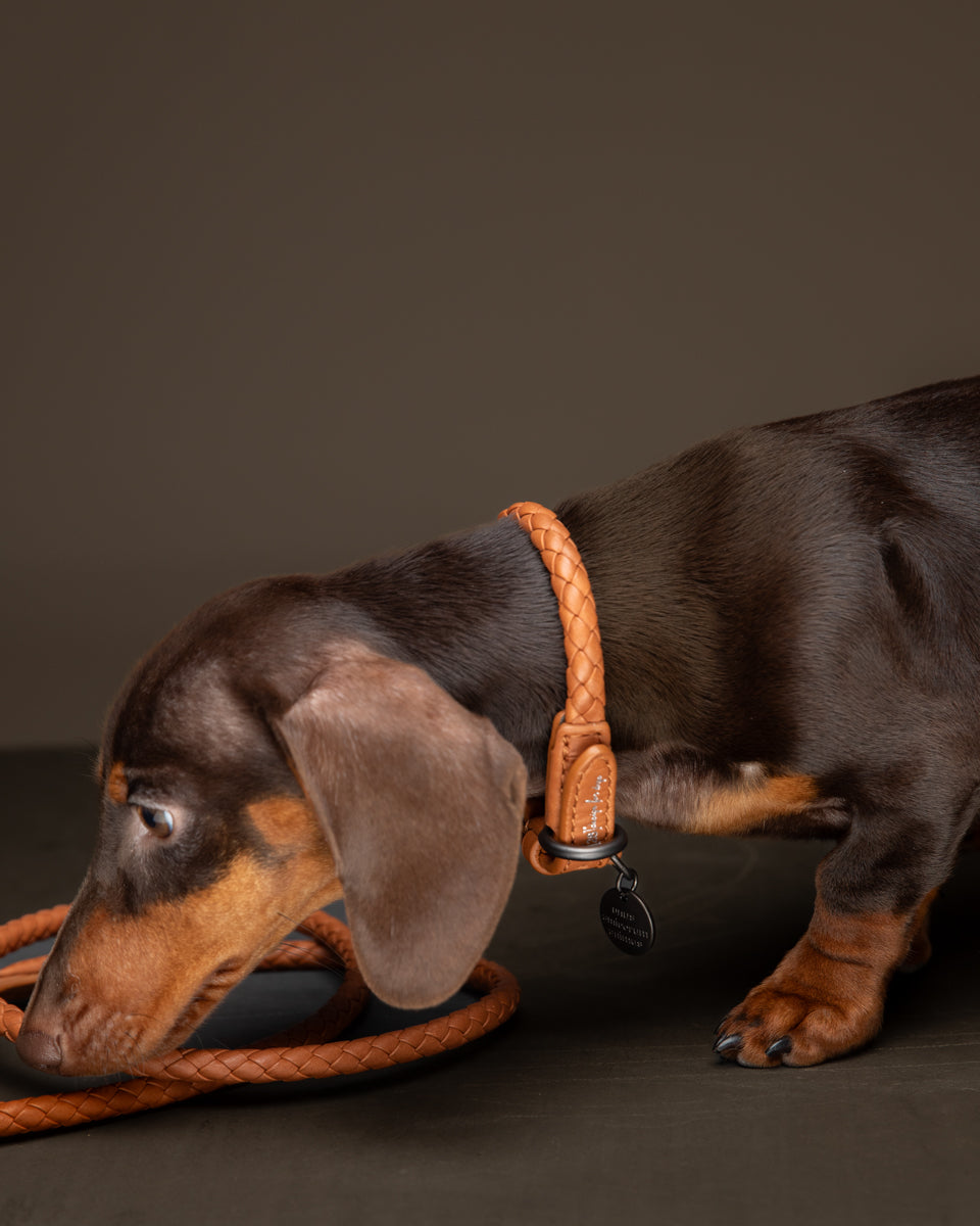 Ferdinando - Dark Hardware Braided Leather Collars