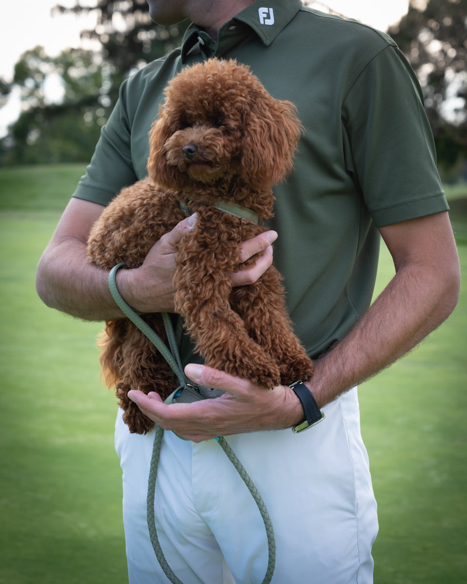 Ferdinando - Laisse tressée en cuir pour chien