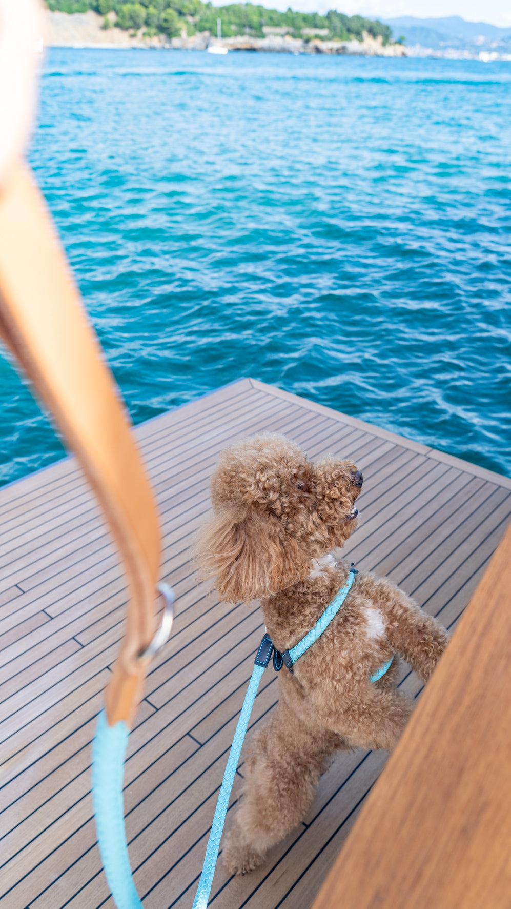 2.8 × Riva, vista mare