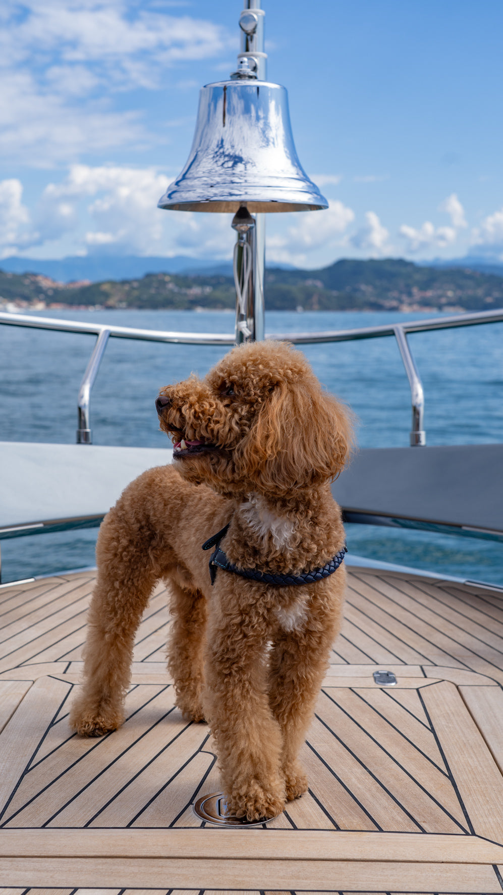 2.8 × Riva, in coperta