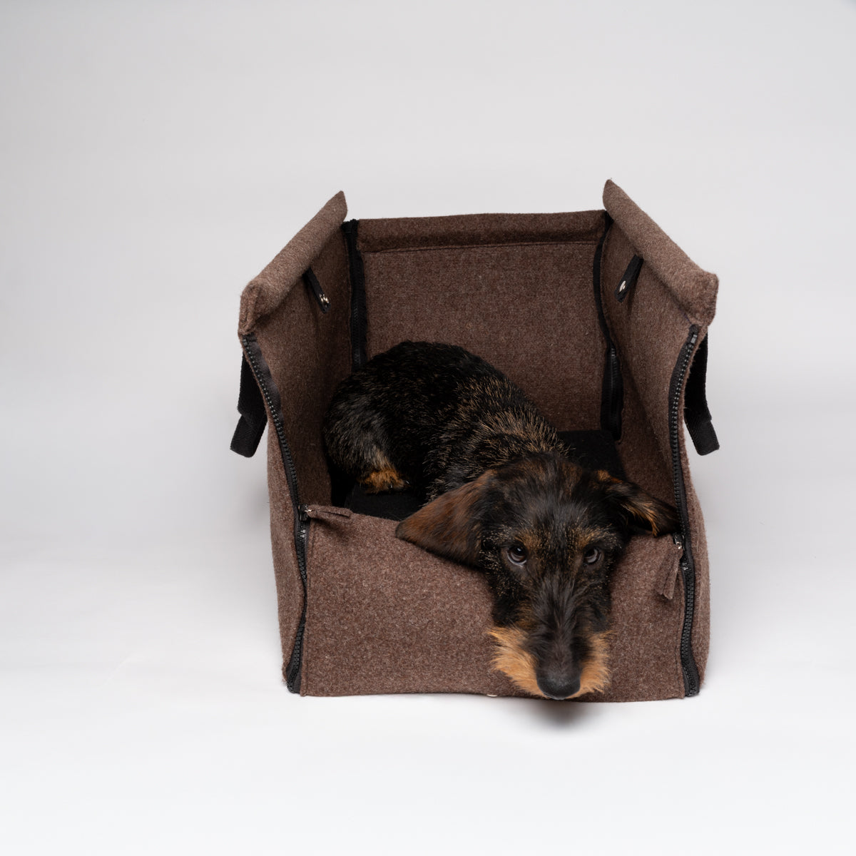 Gianni - Nomad Carrier