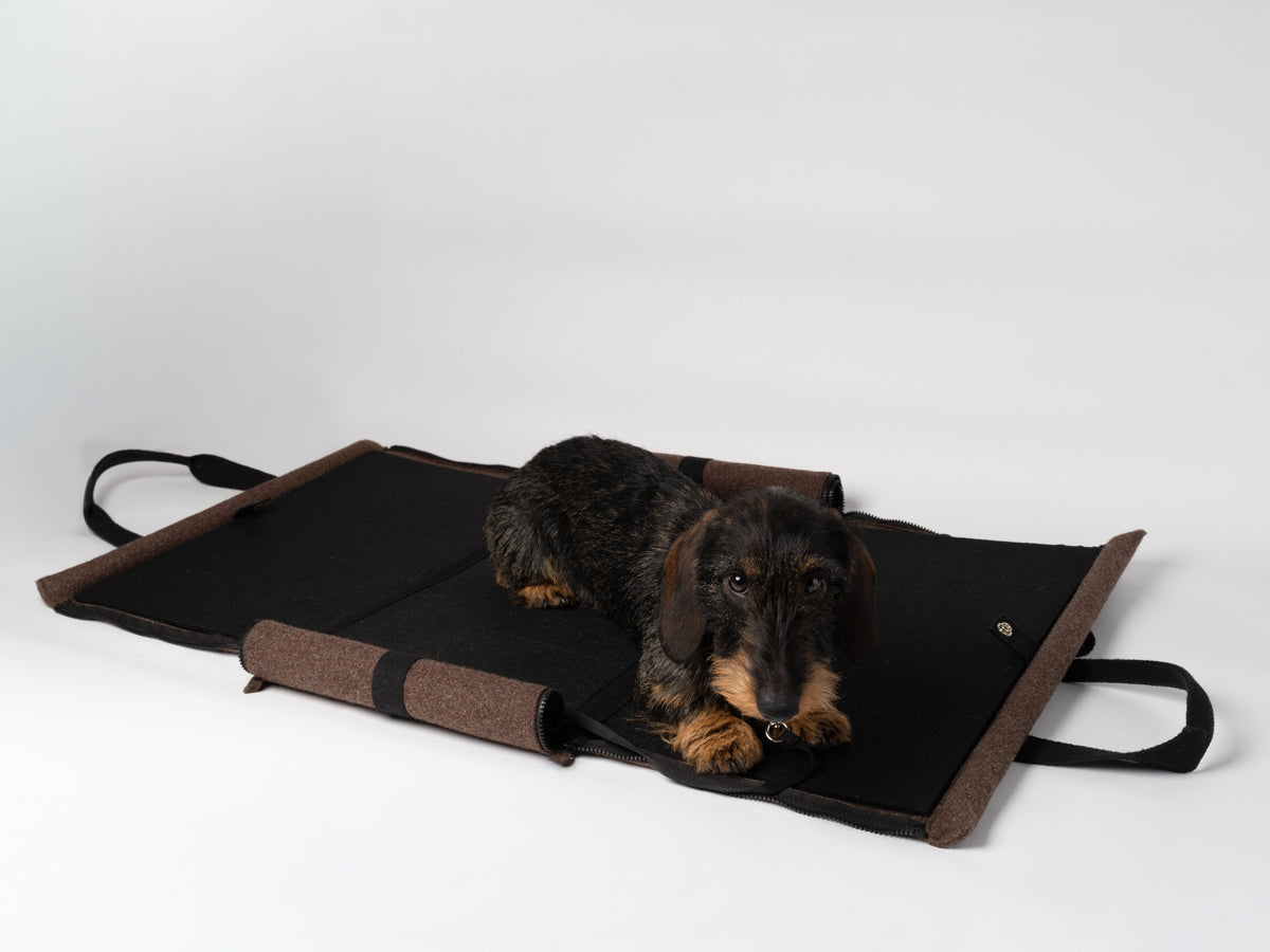 Gianni - Nomad Carrier