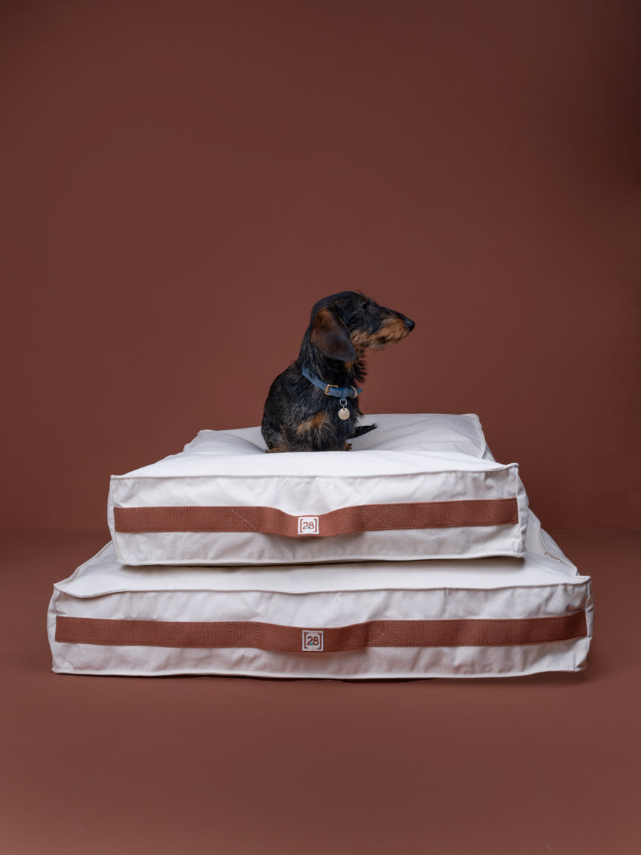 Elliot - Dog Cushion in Structured Canvas