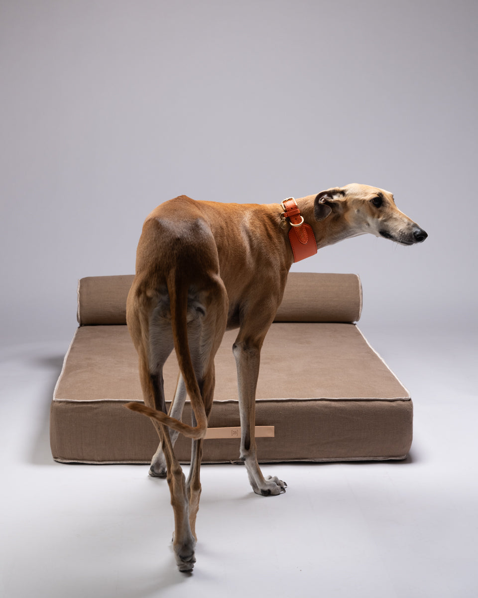 Giampaolo – Day Bed per cani in puro lino
