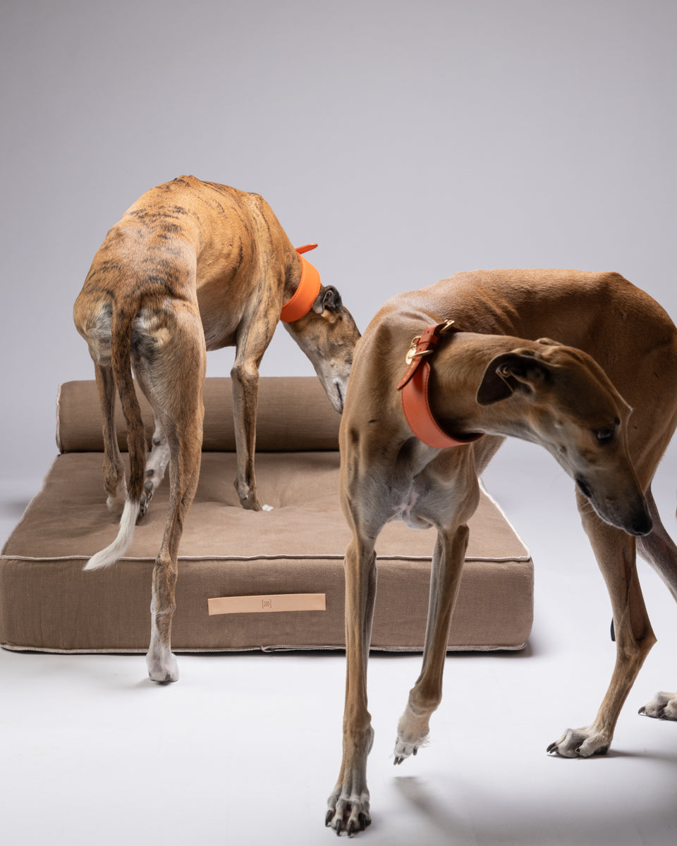 Giampaolo – Day Bed per cani in puro lino