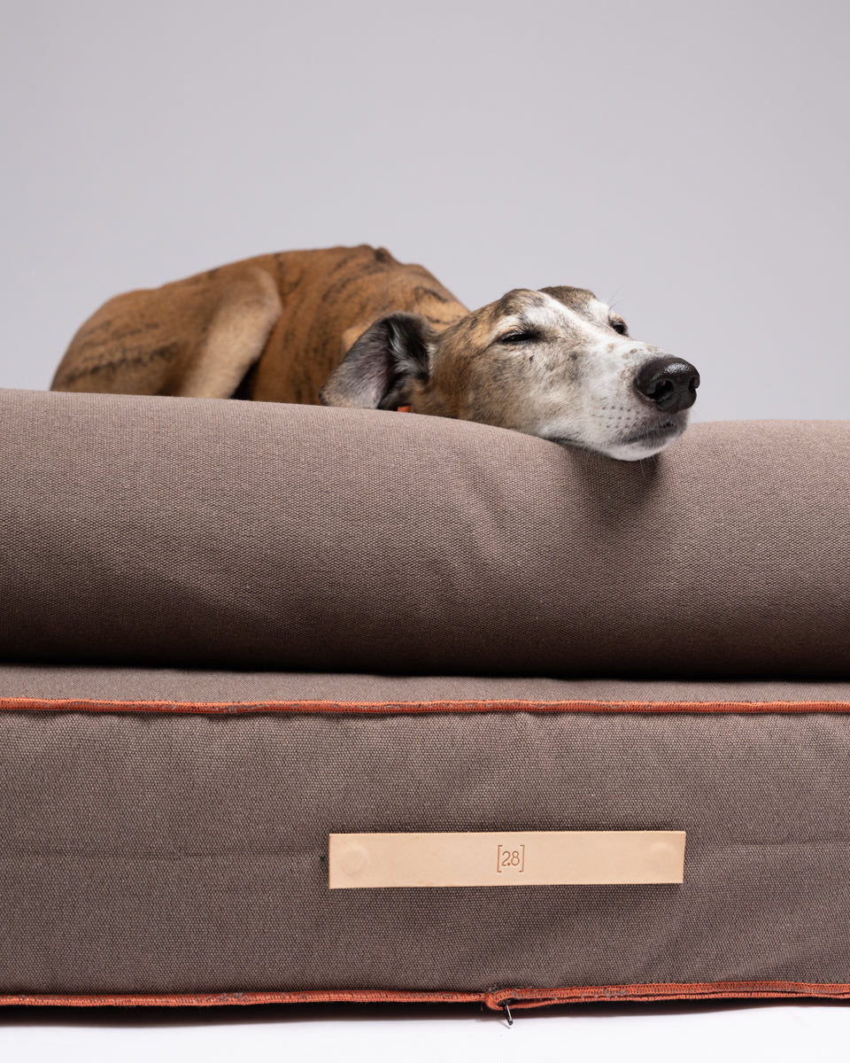 Giampaolo – Day Bed per cani in cotone 