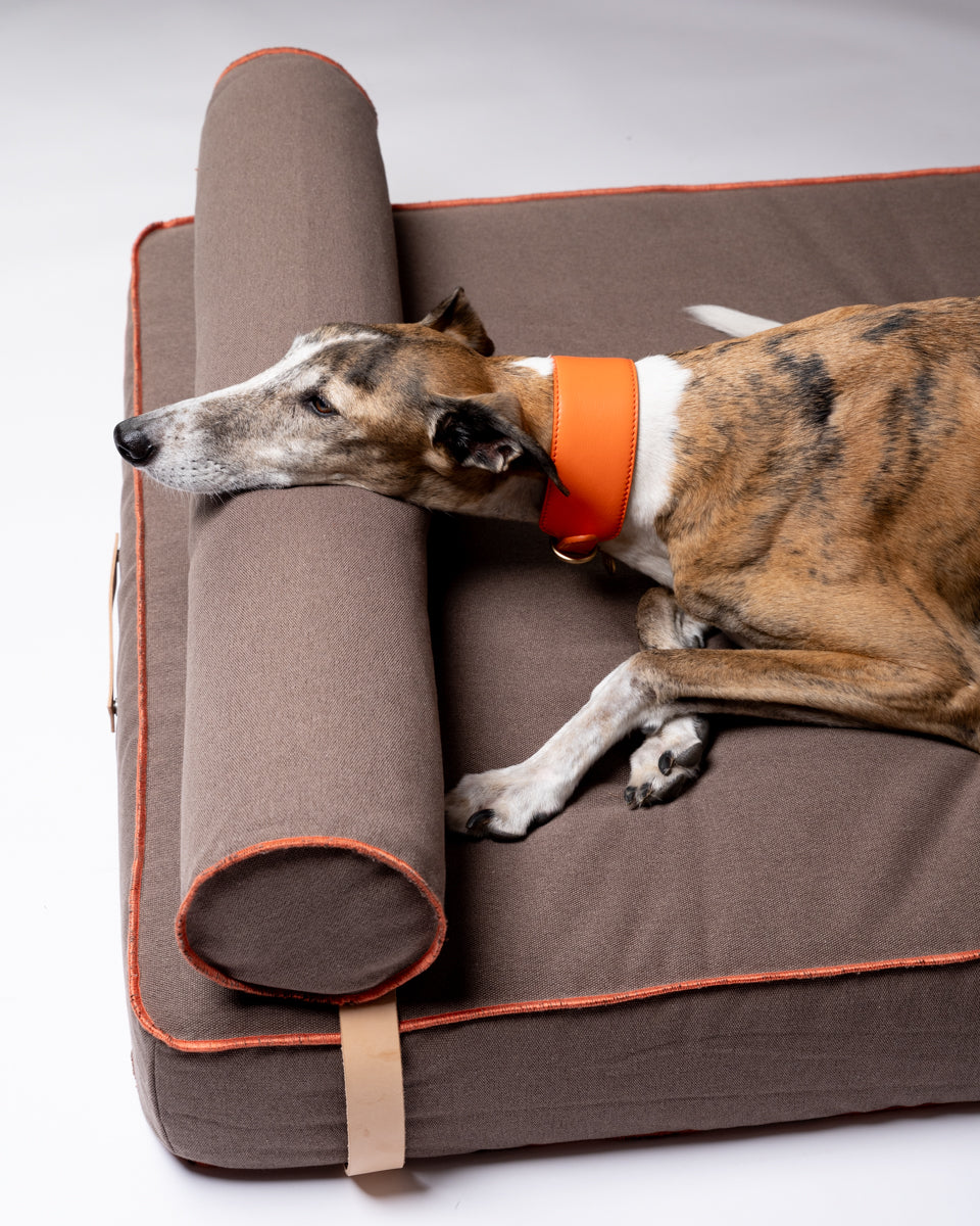 Giampaolo – Day Bed per cani in cotone 