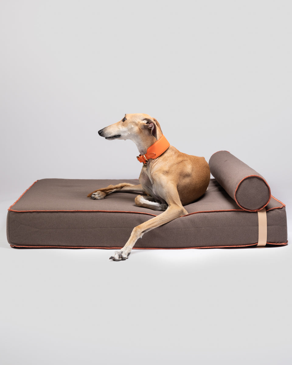 Giampaolo – Day Bed per cani in cotone 