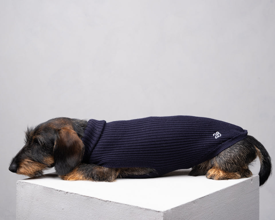 Paul – Merino Wool Dog Sweater