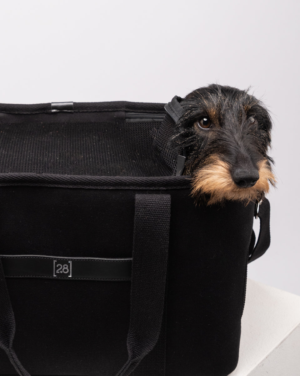 Robert – Hundetasche fürs Flugzeug aus Baumwolle
