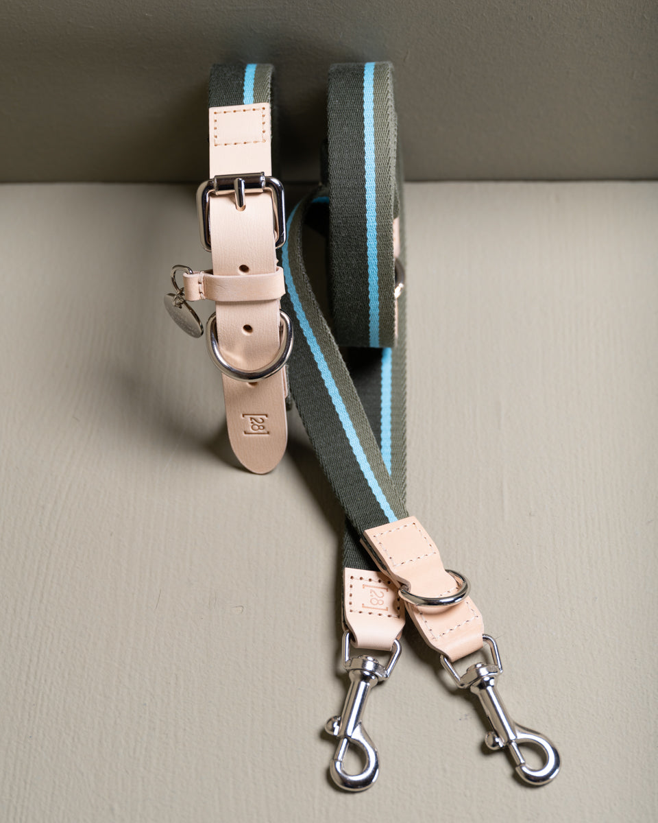 Franco – Leash in Ribbon and Leather